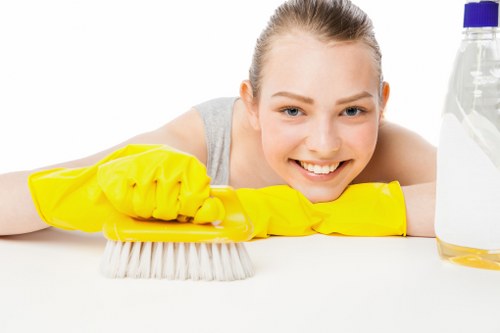 Eco-friendly carpet cleaning treatment in a Lambeth home
