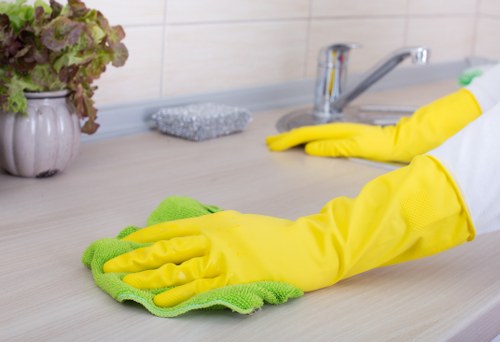 Professional home cleaners in Lambeth working in a modern living room