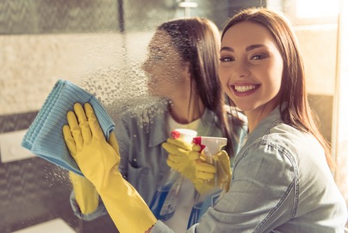 Eco-friendly cleaning supplies used by cleaners in Lambeth